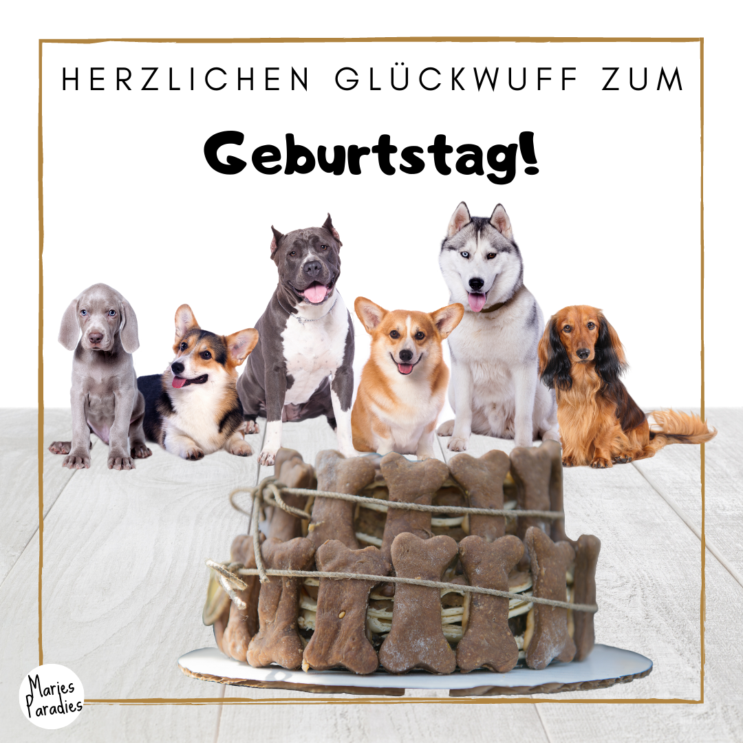 Geburtstagswünsche mit Hund • für Hundefreunde & Vierbeiner