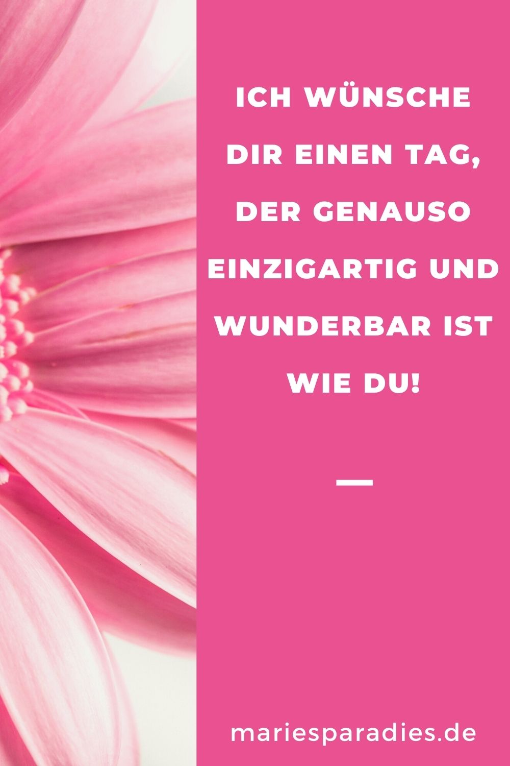 Kunterbunte Geburtstagswunsche Zum Stobern Und Finden